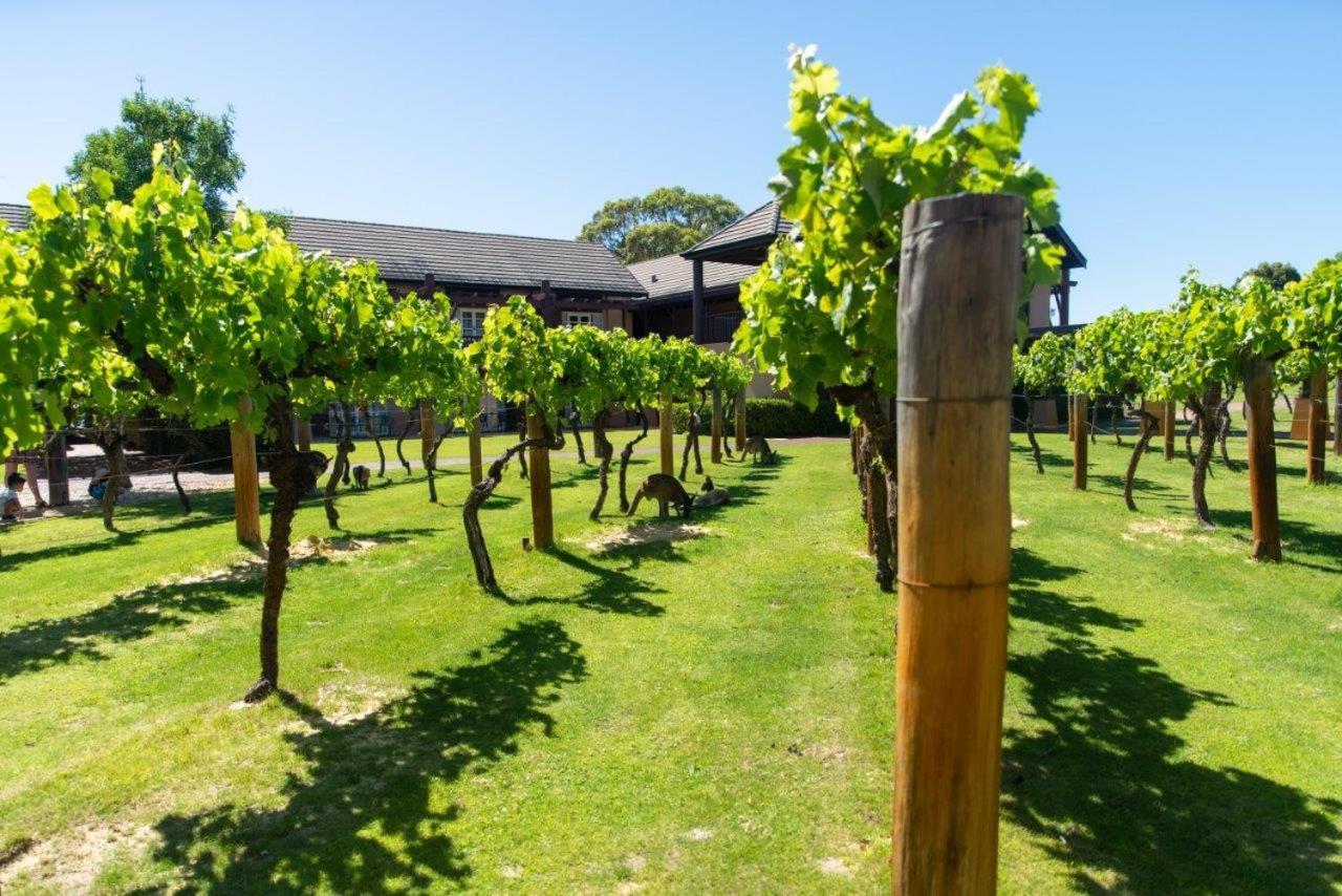 Novotel Vines Resort Swan Valley The Vines Exterior foto